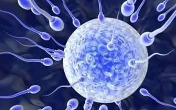 解读三代试管婴儿生孩子孩子过程2026年湖南第三代试管助孕医院名单