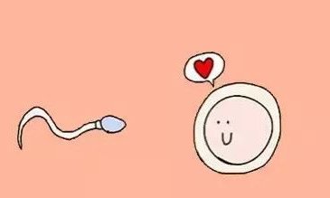 确诊为免疫性不孕能在福安市做试管婴儿吗？做三代试管需要多少钱？