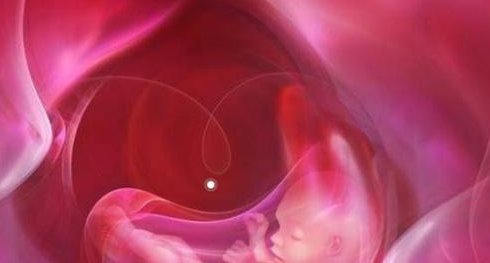 解放军第906医院做试管婴儿的流程是怎么样的？