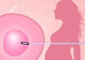 女方不排卵可以做试管吗？女性不排卵了还能试管吗