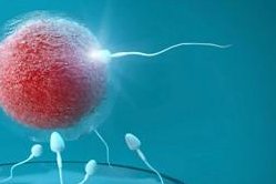 泰国哪家医院做三代试管婴儿厉害？