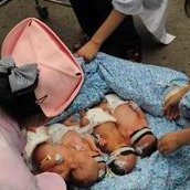 国内不能做三代试管的原因找到了，附做三代试管须满足的条件