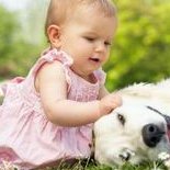 2026年泰国试管婴儿医疗服务——泰国知名医院试管中心介绍