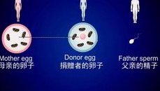 死精率80%的男性可以在库车市做三代试管吗？公开2026做三代试管条件