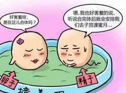 泰国第三代试管婴儿技术成功率，哪个医院的高