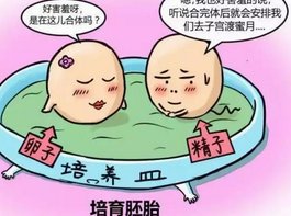 24齐齐哈尔试管婴儿医院排名最新更新，提高成功率因素
