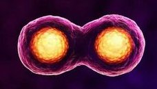 北京热门试管婴儿医院排名一览，附排名好的试管婴儿医院推荐