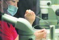 上海地区有哪些私立的机构可以做试管技术？去马来西亚做试管婴儿需要多少钱